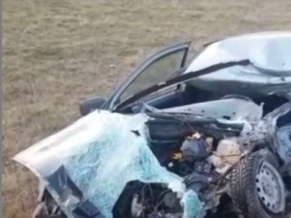 В Башкирии за сутки на дорогах погибли два человека