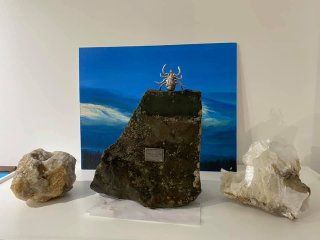 В Уфе неизвестные чуть не похитили памятник клещу