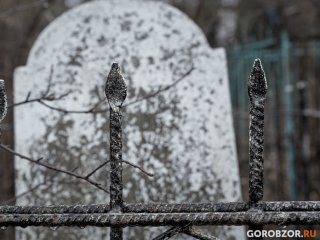 Росстат обнародовал число жертв коронавируса в Башкирии за ноябрь