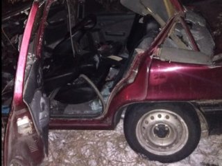 Трое подростков погибли в Башкирии после наезда на табун лошадей