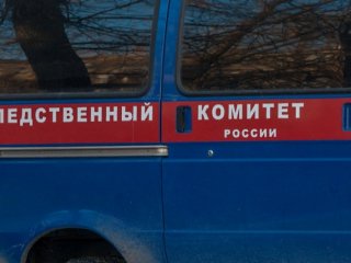 Уфимка заколола ножом лежащего на диване внука