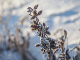В Башкирии резко похолодает до -28° 