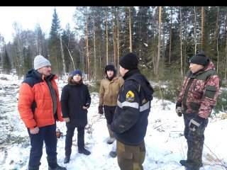 В Башкирии глава района прокомментировал вырубку леса на Инзерских зубчатках