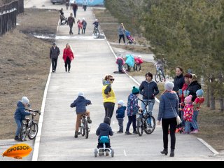 Пенсионный фонд Башкирии сообщил, какие семьи получат выплаты до 31 марта 