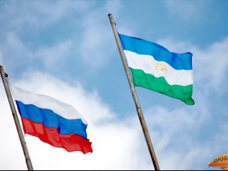 В Башкирии карантин по бешенству действует на трех участках двух районов