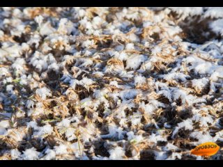 В Башкирии в ближайшие два дня будет метель и мороз