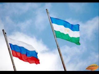 Парламент Башкирии изменит законодательство после вырубки леса на Инзерских зубчатках