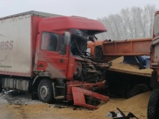 В Башкирии два человека погибли в автомобильных авариях