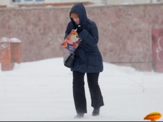 В Башкирии объявили штормовое предупреждение из-за метели