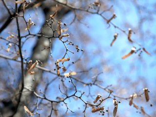 В Башкирии прогнозируются мокрый снег и потепление до +4°