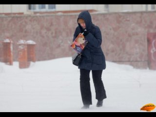 В МЧС по Башкирии предупредили о штормовом усилении ветра