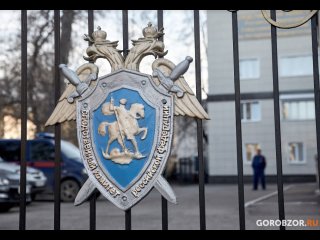 Сотрудника администрации района в Башкирии подозревают в махинациях с сиротским жильем