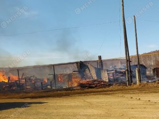 В Башкирии крупные пожары унесли жизни троих людей
