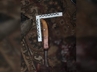 В Башкирии мужчина зарубил топором свою возлюбленную из-за стиля ведения домашнего хозяйства