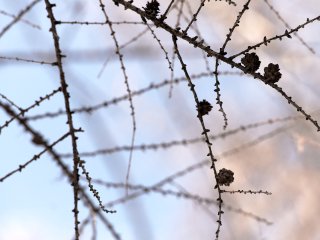 В Башкирии ожидаются туман и аномально жаркая погода