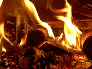 В Башкирии предупредили о высоком классе пожароопасности в майские праздники