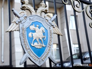На Уфимском краностроительном заводе обнаружили факт уклонения от уплаты 17 млн рублей налогов