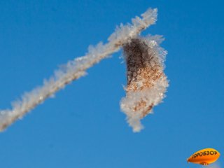 В Башкирии 8 мая ожидаются заморозки до -3°