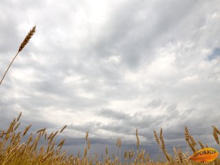 В Башкирии синоптики прогнозируют опасное природное явление