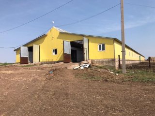 Житель Башкирии до смерти избил женщину мотыгой из ревности