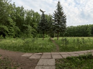 Парки Уфы: можно ли найти достойное место для отдыха в самом зеленом районе города