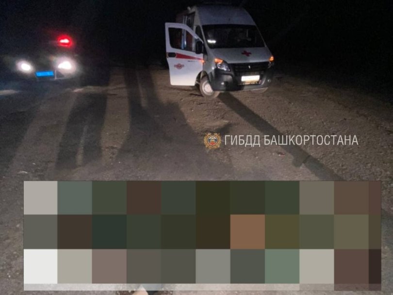 В Башкирии автомобилист насмерть сбил мужчину на электросамокате и скрылся
В Башкирии автомобилист насмерть сбил мужчину на электросамокате и скрылся