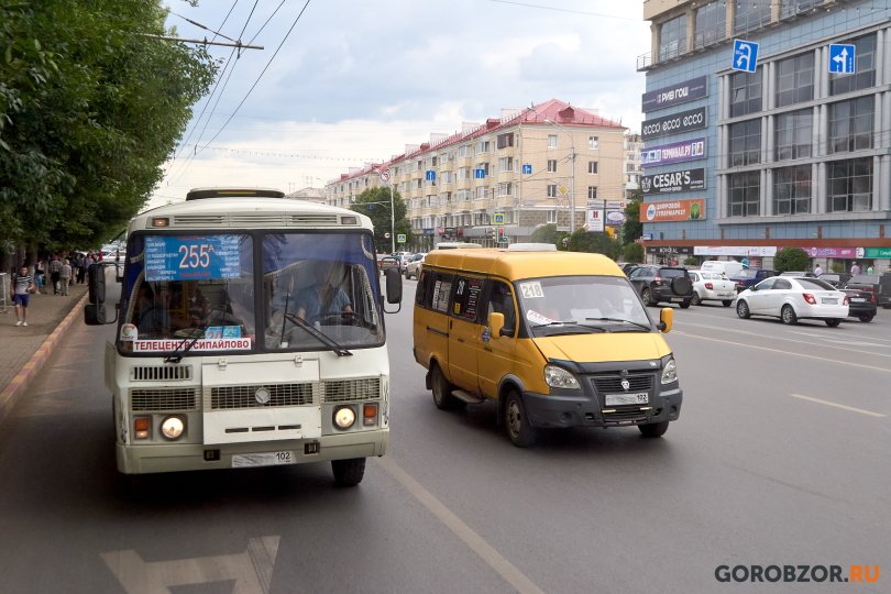 В Башкирии правоохранители выявили нарушения в сфере пассажирского транспорта
В Башкирии правоохранители выявили нарушения в сфере пассажирского транспорта