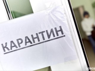 В Кремле заявили, будет ли объявлен карантин из-за коронавируса