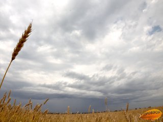 Жителей Башкирии предупредили о неблагоприятных погодных условиях 
