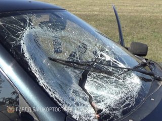 22-летний житель Башкирии насмерть сбил мужчину
