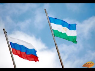 Глава Башкирии подписал указ о выплате 150 тысяч рублей стобалльникам по ЕГЭ
