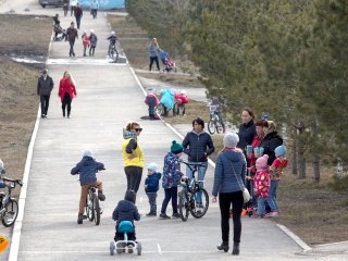 В Башкирии более чем на 30% выросло число разводов
