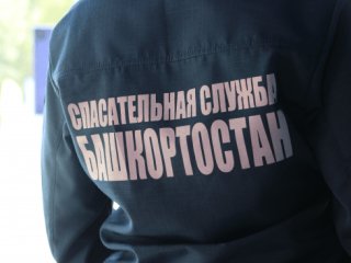 В Башкирии пропал в лесу 26-летний деревенский житель