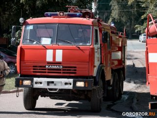 В Башкирии за сутки произошло восемь лесных пожаров