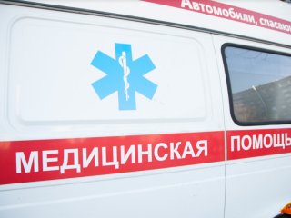 Женщину из Башкирии раздавило насмерть упавшее дерево