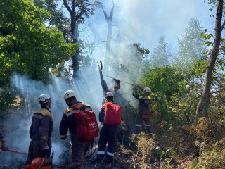 В Башкирии не локализованными остаются 2 очага лесных пожаров 
