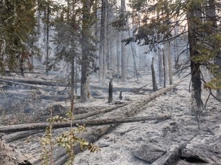 В Башкирии побороли два крупных пожара