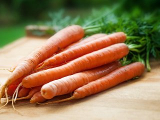 В Башкирии подешевели морковь и сливочное масло 
