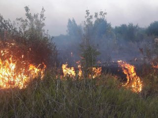 В МЧС по Башкирии сообщили о десяти новых природных пожарах