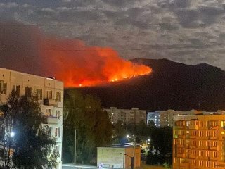 В МЧС прокомментировали пожар на горе около Межгорья