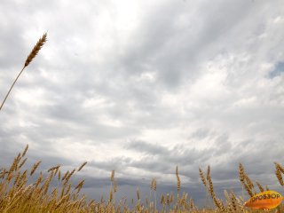 Жителей Башкирии предупредили о неблагоприятных природных явлениях
