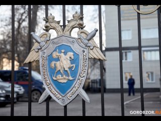 Следком Башкирии прокомментировал гибель 16-летней девушки и 11-летнего ребенка
