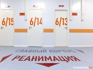 В Башкирии 355 человек заразились коронавирусом за сутки
