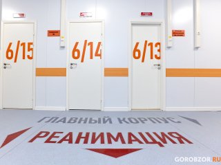В Башкирии число погибших от коронавируса составило 1233 человека

