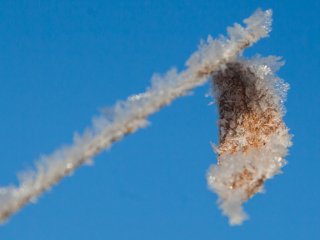 В Башкирии ожидаются заморозки