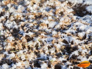 В Башкирии пообещали дожди и мокрый снег и мороз до -7°