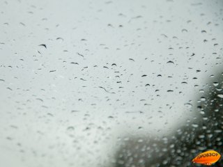 В Башкирии предупредили о порывах ветра до 17 м/с и заморозках