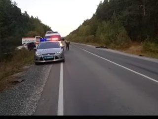 В ДТП с лошадью в Башкирии скончался 20-летний водитель