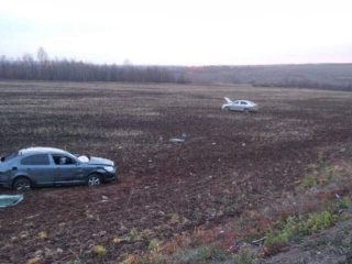 В Башкирии 38-летний водитель погиб в ДТП
