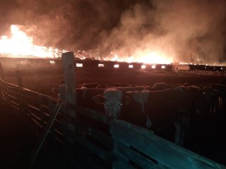 В Башкирии на ферме пламя охватило крышу здания с животными